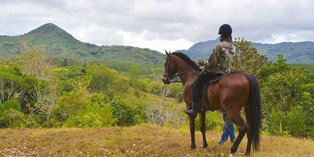 Horse Riding at Lavilleon Adventure Park (2)